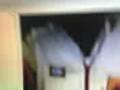 videos de 17-07-08 0040