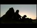 Cheetah Conservation Fund UK promo