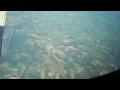 RAF Bentwaters & RAF Woodbridge