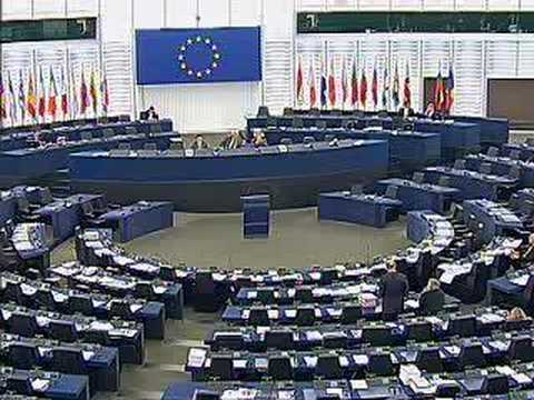 Andrew Duff on Amendment of the ...
