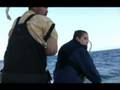 videos de Baja Ha-ha 2008 Tuna Catch