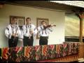 Singurel printre straini