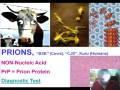Medical School Pathology, Chapter 8b