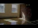 Sunny Floorthrough 2BR in North Park Slope $2,500