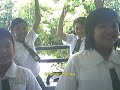 Scientific Process Song