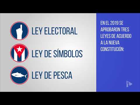 Constitución cubana doce meses después