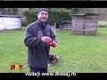 Antrenament Belgia 5_HD_1080p_youtube.mp4