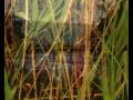The Heart of the Site - by Louise Shaw and Kim Doran (Lake Illawarra MAP Project)