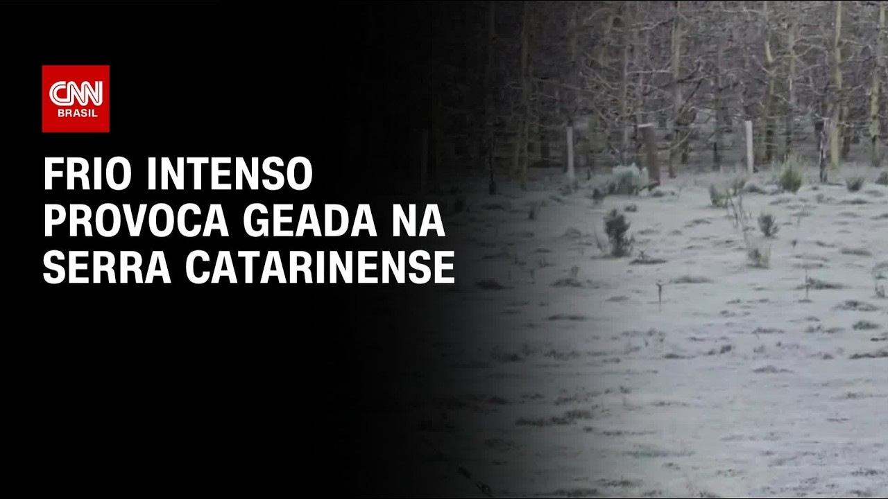 Frio intenso provoca geada e temperatura de -7,7°C em Santa Catarina | CNN AGORA