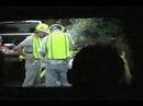 CREW - A Short Film CREW - A Short Film