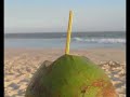 Impressionen aus Rio de Janeiro - a cidade maravilhosa!