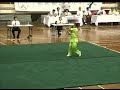 Wushu Staff northern