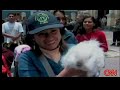 Blessing of the animals Blessing of the animals