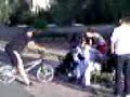 Zazo Jackass Zazo Jackass