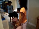 Horatio Attacks