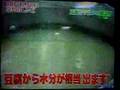 おぼろ豆腐とワカメのみそ汁