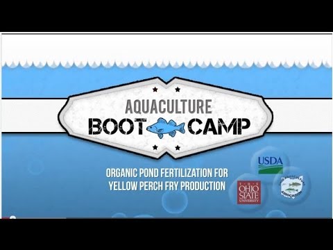 how to fertilize pond