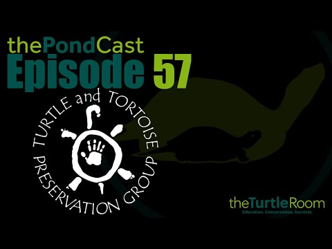 YouTube reptile video