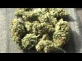 The CCC - Episode 3: SOVEREIGNTY STEMLINE / TORO CIRC GLASS REVIEWS
