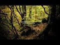 Nature Sound 17 - THE MOST RELAXING SOUNDS -
