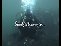 gir-lesund-hsten-06.html