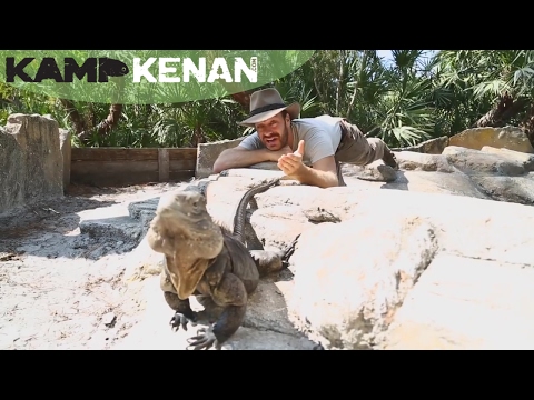YouTube reptile video