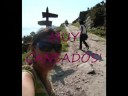 Nitzia en las islas cies