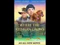 Where the red fern grows: slipped away