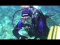Shaab El Shehr Red Sea Diving nurkowanie Egipt Shaab El Shehr Red Sea Diving nurkowanie Egipt
