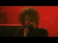 the cure   bloodflowers