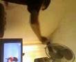 baterisiz bateri <b>show</b> izleyin sonu çok <b>komik</b>