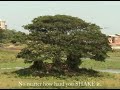 SBI ad SBI ad