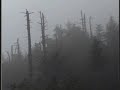 3 days on the Blue Ridge Parkway