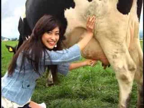 Yamada Yu, Aoi Yu, & Kaho: Canon PowerShot CM 30sYoutube(ゆーちゅーぶ)・Dailymotion動画