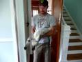 videos de Ron petting Loki