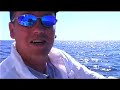 Roosterfish and Double Marlin