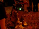 R2D2 Dragoncon
