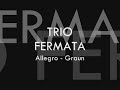 Trio Fermata - Allegro - Graun - Thumb #1