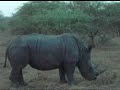 R�serve des Animaux Sauvage de Bandia