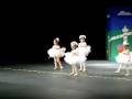 videos de Emiko's bon bon dance
