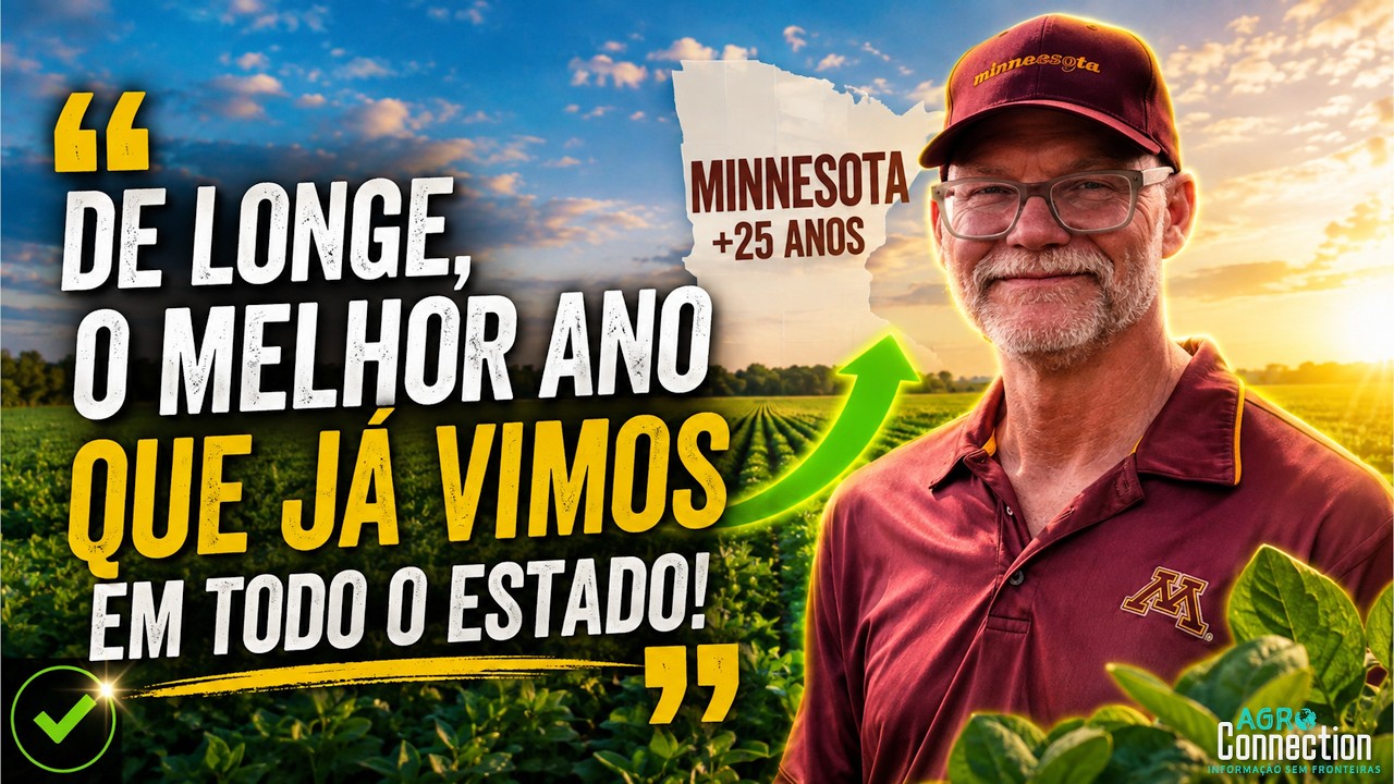 Safra Soja e Milho EUA 2026 - 27 de Julho - o que esperar desta safra?