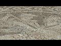 A Mosaic of a cavalryman from Olynthos A Mosaic of a cavalryman from Olynthos