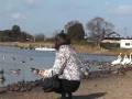 videos de ミニスカ熟女・渡り鳥デート１