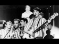 Bluebirds Over The Mountain - Beach Boys