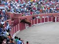 el toro que vuela