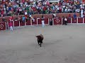 el toro que vuela