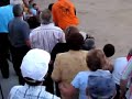 el toro que vuela