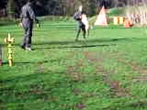 video allevamento amatoriale  antico ponte