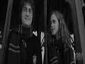 harry and hermione : must have done something right