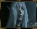 Tributo World of Warcraf, Lineage , Everquest , FFXI
